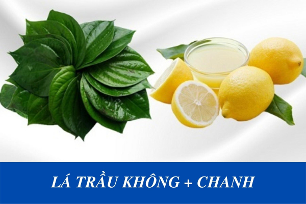 cach-tri-nam-da-mat-bang-la-trau-khong-va-nuoc-cotchanh